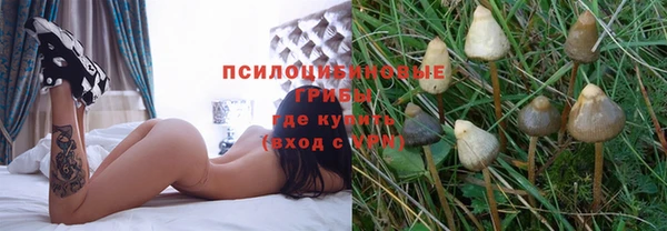 крисы Вяземский